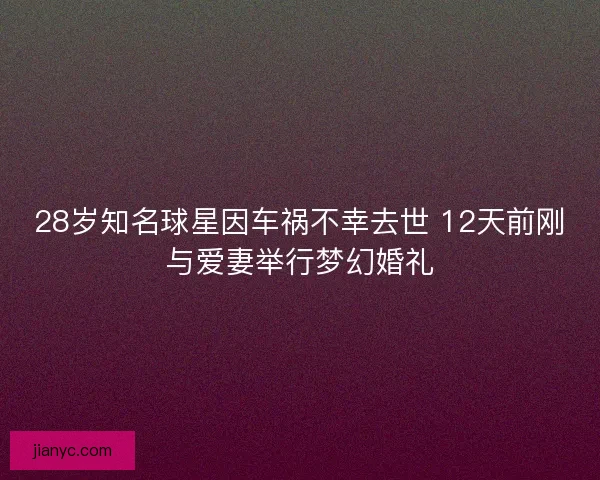 28岁知名球星因车祸不幸去世 12天前刚与爱妻举行梦幻婚礼